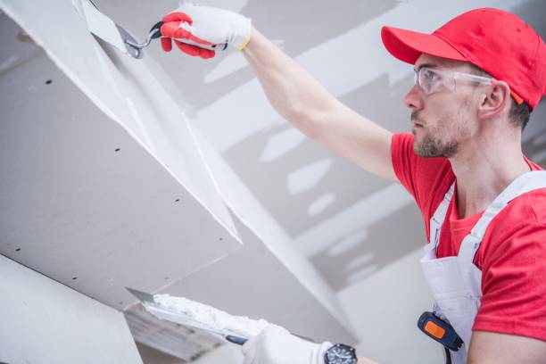 Best Mold Documentation for Insurance Claims  in Redlands, CA